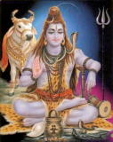 Lord Shiva Meditates